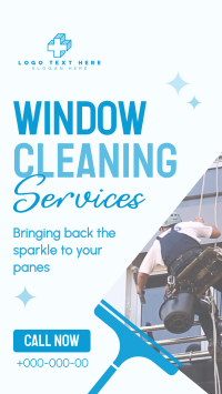 Sparkling Window Cleaning Instagram Reel Preview