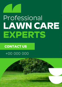 Expert Lawn Care Professional Poster Image Preview