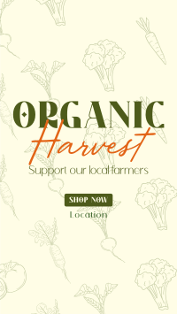 Organic Harvest Facebook Story Design