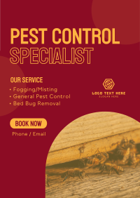 Pest Control Management Flyer Image Preview