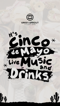 Cinco De Mayo Party TikTok Video Image Preview