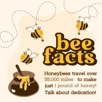 Honey Bee Facts Instagram post Image Preview