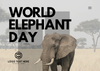 World Elephant Celebration Postcard Image Preview