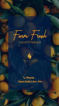 Farm Fresh Instagram story Image Preview