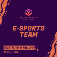 Esports Team Registration Instagram post Image Preview