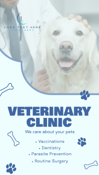 Professional Veterinarian Clinic Instagram Story Design
