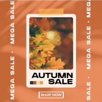 Picture Autumn Sale Instagram post Image Preview