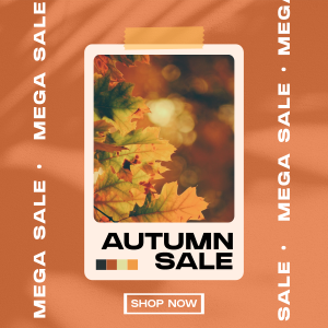 Picture Autumn Sale Instagram post Image Preview