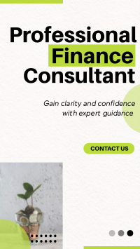 Modern Professional Finance Consultant Agency TikTok video Image Preview