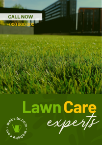 Lawn Care Experts Poster Image Preview