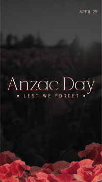 Anzac Poppies TikTok Video Image Preview