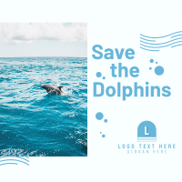 Save The Dolphins Instagram post Image Preview