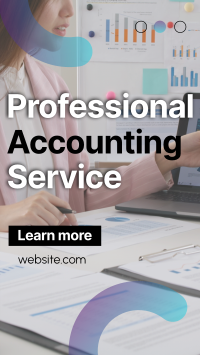 Professional Accounting Service Instagram Story Design