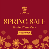 Celebrate Spring Sale Instagram post Image Preview