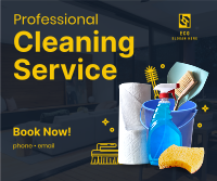 The Professional Cleaner Facebook post Image Preview