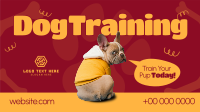 Quirky Dog Training Animation Preview