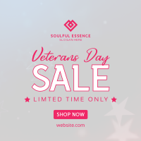 Veterans Medallion Sale Instagram post Image Preview