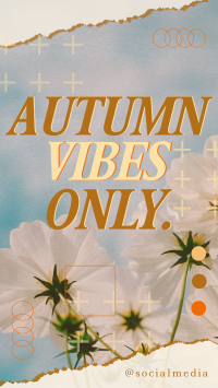 Autumn Vibes Greeting YouTube Short Preview