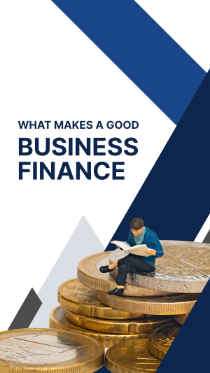 Business Finances Facebook story