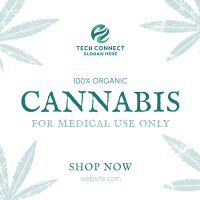 Cannabis Cures Instagram Post Design