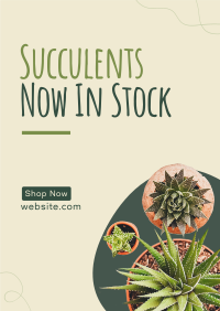 New Succulents Poster Design