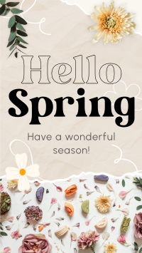 Hello Spring TikTok video Image Preview