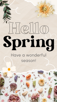 Hello Spring TikTok Video Preview