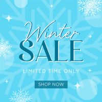 Winter Shopping  Sale Instagram post Image Preview