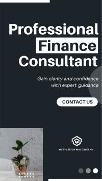 Modern Professional Finance Consultant Agency Instagram story Image Preview