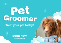 Professional Pet Groomer Postcard Image Preview