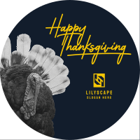 Thanksgiving Turkey Peeking Pinterest Profile Picture Image Preview