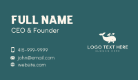 Whale Bird Animal Business Card Design