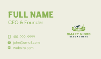 Lawn Care House Gardening  Business Card Image Preview