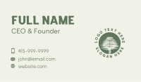 Scribble Tree Nature Business Card Image Preview