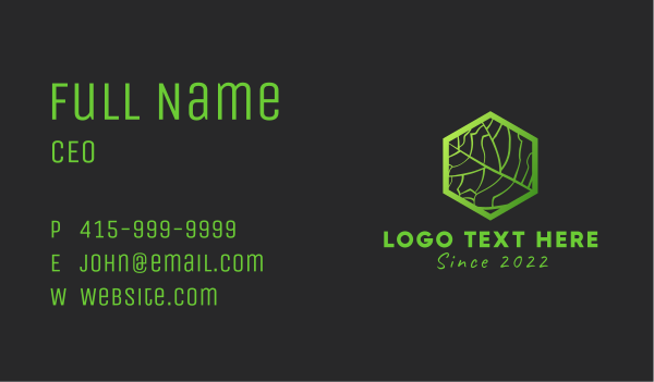 Hexagon Leaf Veins Business Card Design Image Preview
