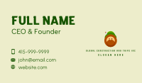 Irish Leprechaun Mascot Business Card Image Preview