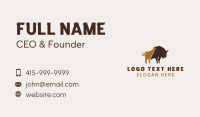 Bull Wild Animal Business Card Design