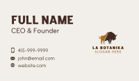 Bull Wild Animal Business Card Image Preview