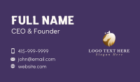 Star Horse Equine Business Card Design