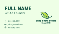 Fish Nature Leaf Business Card Image Preview