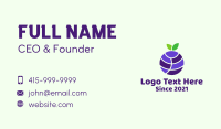 Blueberry Fruit Globe  Business Card Image Preview