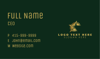 Star Entertainment Multimedia Business Card Image Preview