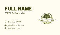 Netherlands Oak Tree Business Card Preview