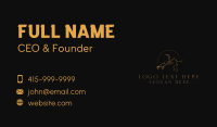 Violin Musician Instrument Business Card Preview