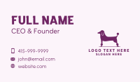 Pet Poodle Dog  Business Card Image Preview