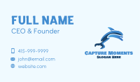 Blue Dolphin Business Card Image Preview