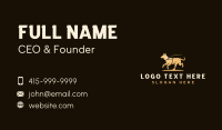 Pet Dog Training Business Card Preview