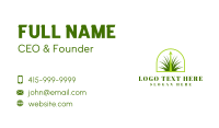 Lawn Grass Growth Business Card Image Preview