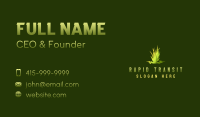 Grass Garden Maintenance Business Card Image Preview