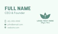 Herbal Acupuncture Needle Business Card Image Preview